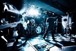 Envy picture
