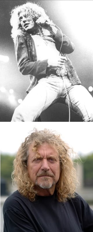 Robert Plant picture