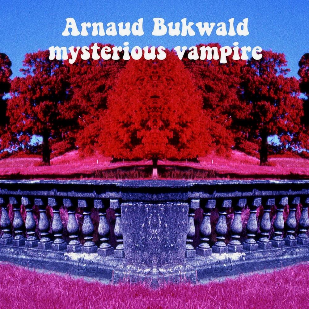 Arnaud  Bukwald Mysterious Vampire album cover