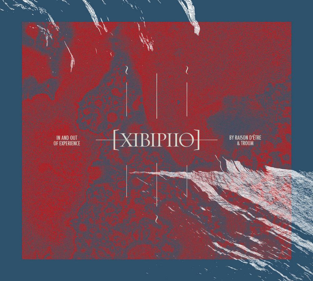 raison d'tre raison d'tre & Troum: XIBIPIIO. In and Out of Experience album cover