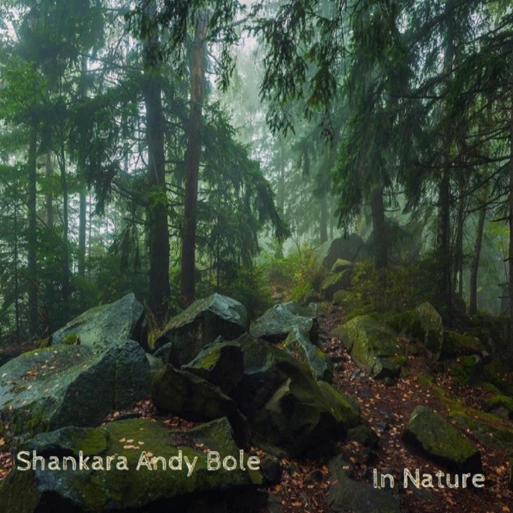 Andy Bole In Nature album cover