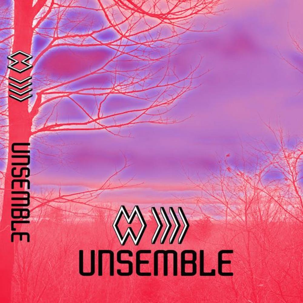 The Band Whose Name Is A Symbol Unsemble album cover
