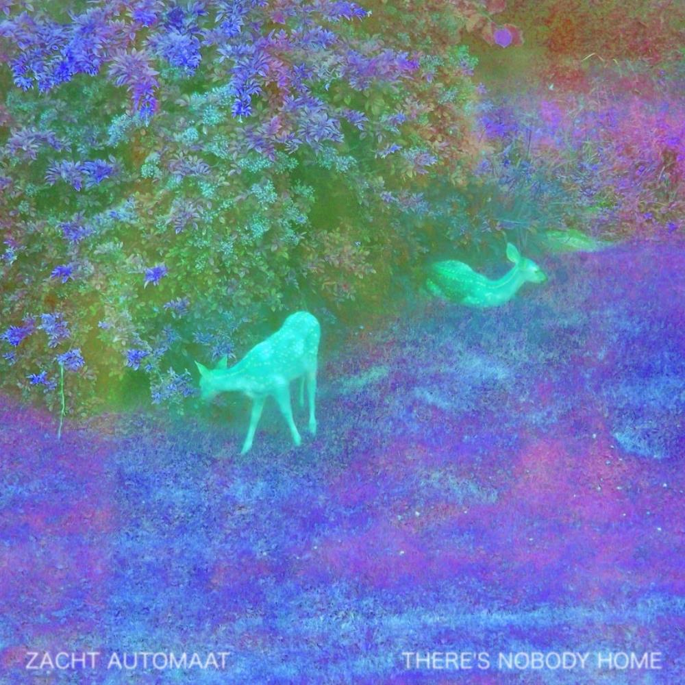 Zacht Automaat - There's Nobody Home CD (album) cover