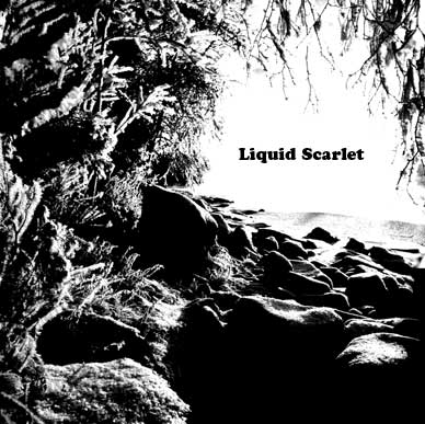 Liquid Scarlet - Liquid Scarlet CD (album) cover
