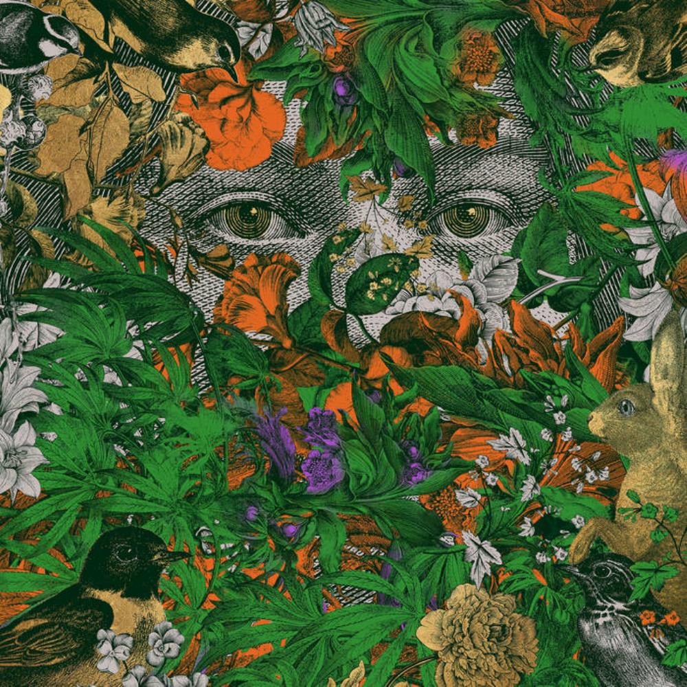 Valerinne Ver Sacrum album cover