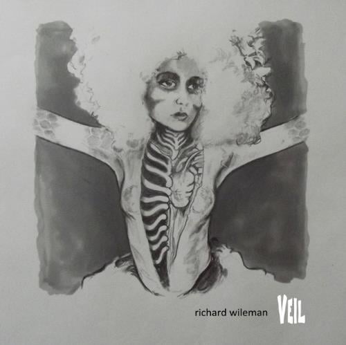 Richard Wileman - Veil CD (album) cover