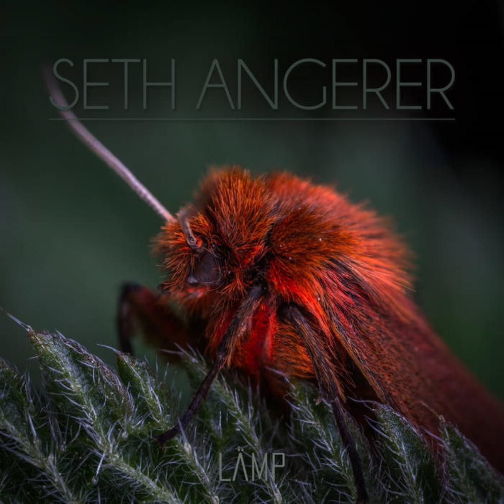 Seth Angerer LMP album cover
