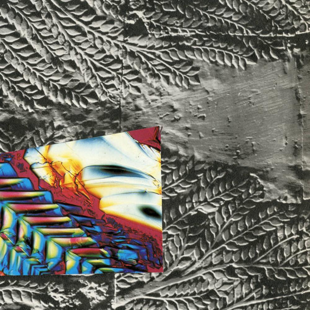 DSR Lines Delta Wave / Broken Gong album cover