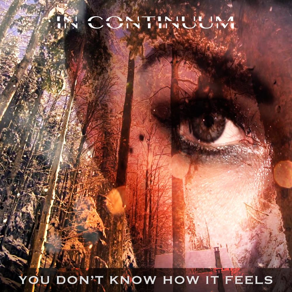 In Continuum You Don't Know How it Feels album cover