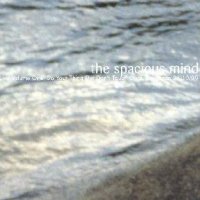 The Spacious Mind Do Your Thing But Don't Touch Ours album cover