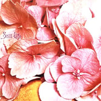 Still Life - Still Life CD (album) cover