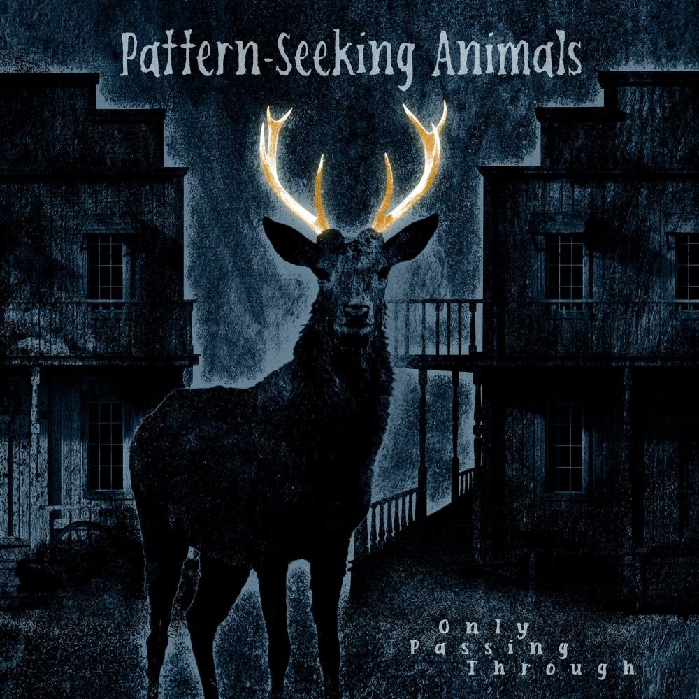 Pattern-Seeking Animals - Only Passing Through CD (album) cover