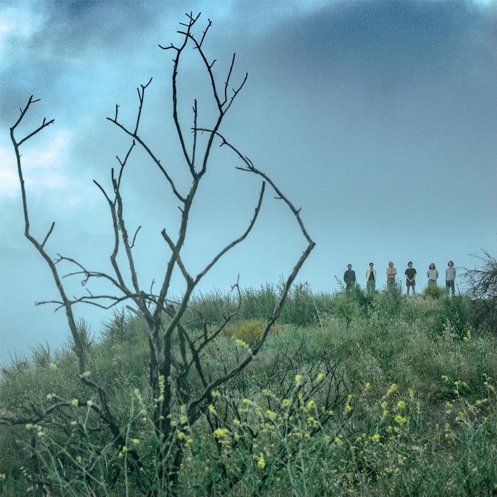 King Gizzard & The Lizard Wizard Ice V album cover