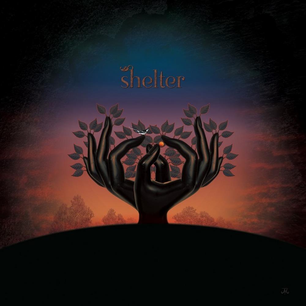 Laughing Stock Shelter album cover