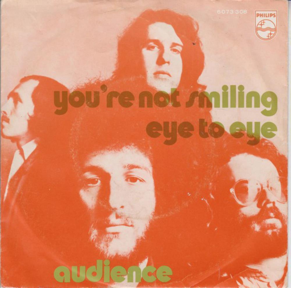 Audience You're Not Smiling album cover