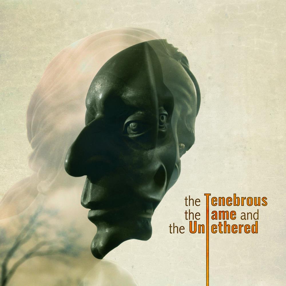 We Pyrrhic Conquerors The Tenebrous, the Tame, and the Untethered album cover