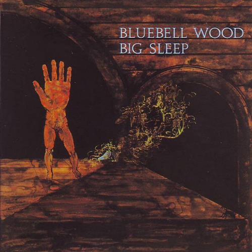 Big Sleep - Bluebell Wood CD (album) cover