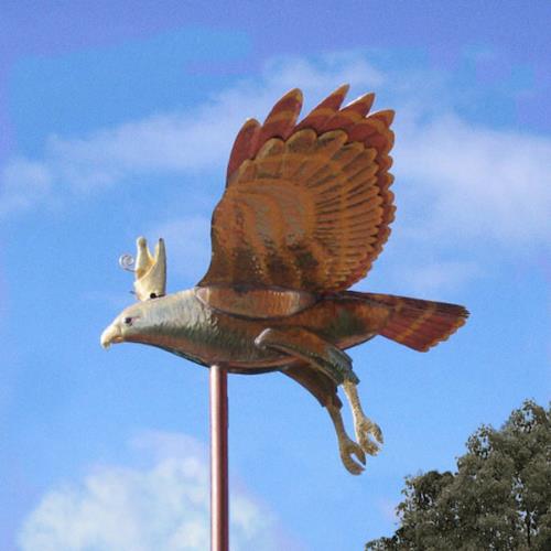 Vinyl Dial - The Flight of the Crown Hawk CD (album) cover