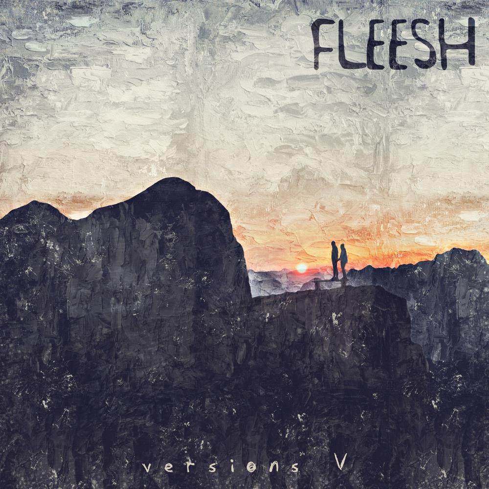 Fleesh Versions V album cover