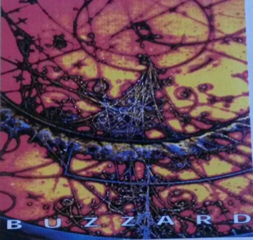 Buzzard Exercises & Transmutations of the Applicable Techniques for the Chrome-Plated Mystical Squeegie of Destiny album cover