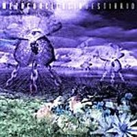 Metaconciencia - Bestirio CD (album) cover