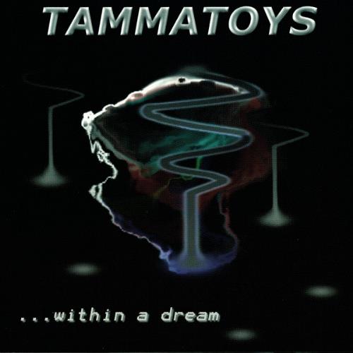 Tammatoys Within a Dream album cover