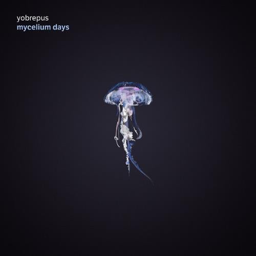 Yobrepus - Mycelium Days CD (album) cover