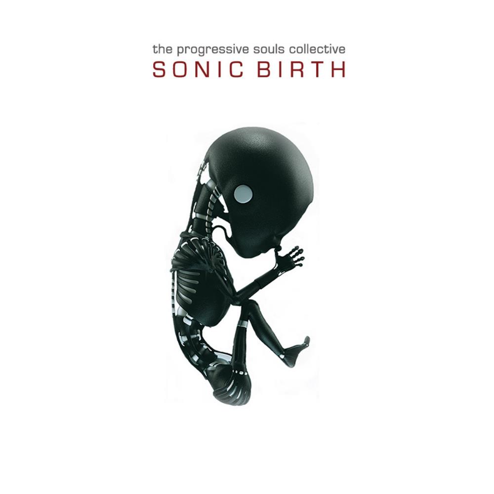 The Progressive Souls Collective - Sonic Birth CD (album) cover