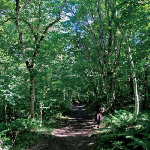 Kiku Latte / ex Cichla Temensis - Fantasia CD (album) cover