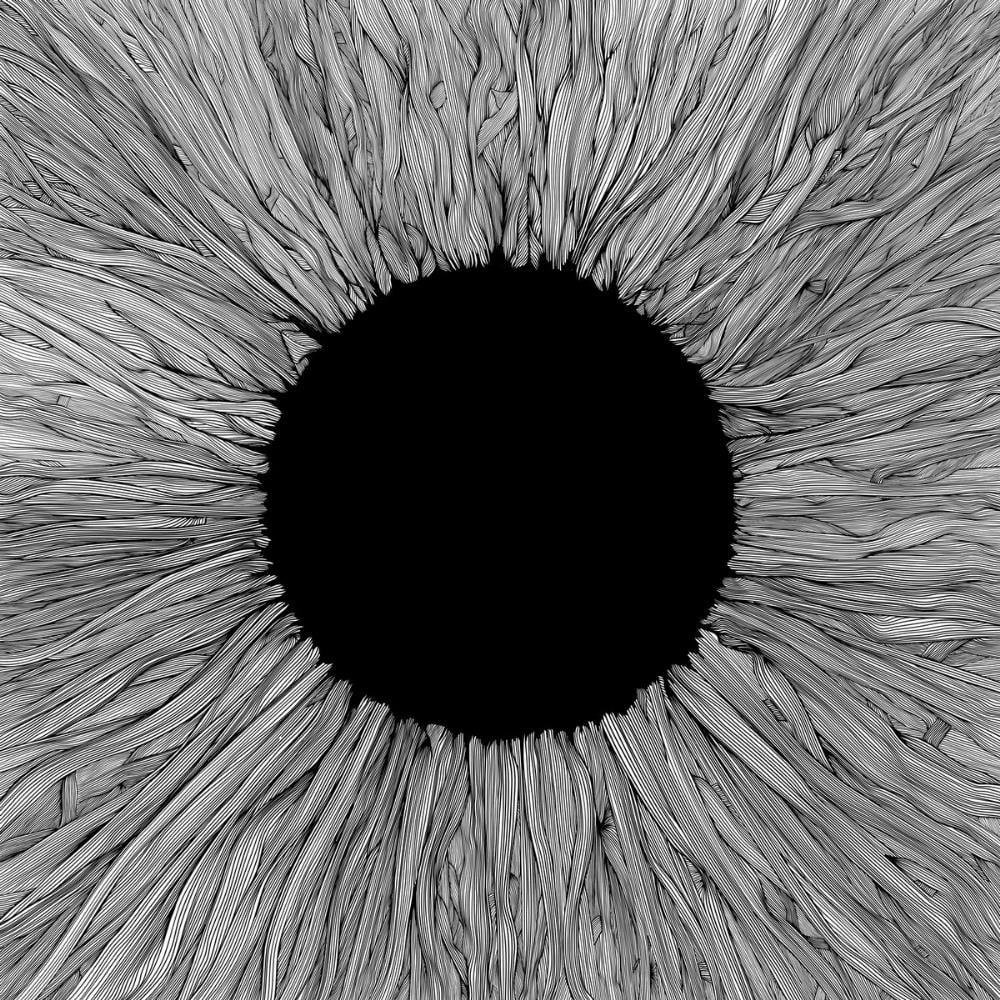 Vola - Witness CD (album) cover