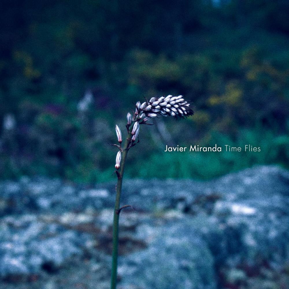 Javier Miranda Time Flies album cover