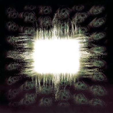 Tool - nima CD (album) cover