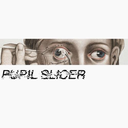 Pupil Slicer Pupil Slicer album cover