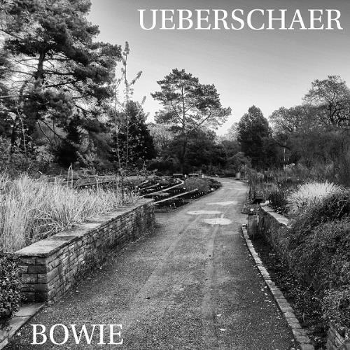 Ueberschaer Bowie album cover