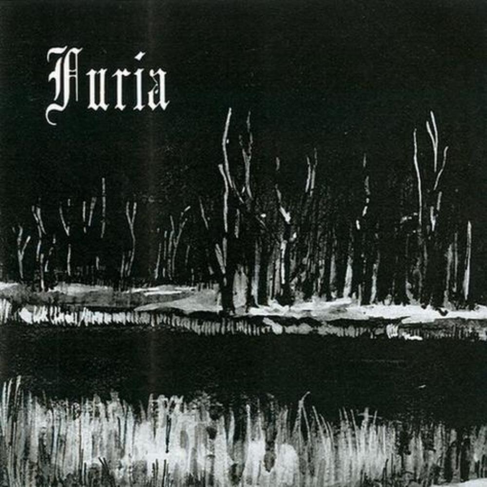 Furia I krzyk album cover
