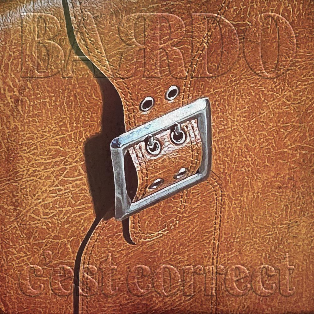 Barrdo - C'est correct CD (album) cover