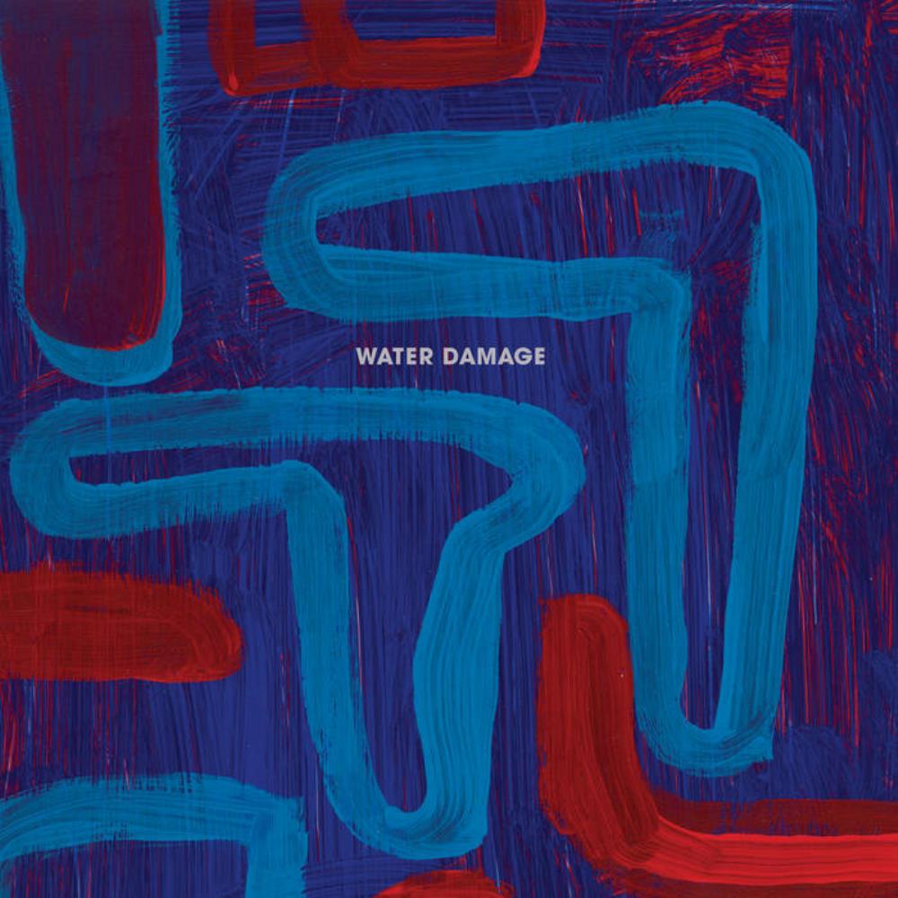 Water Damage Instruments album cover