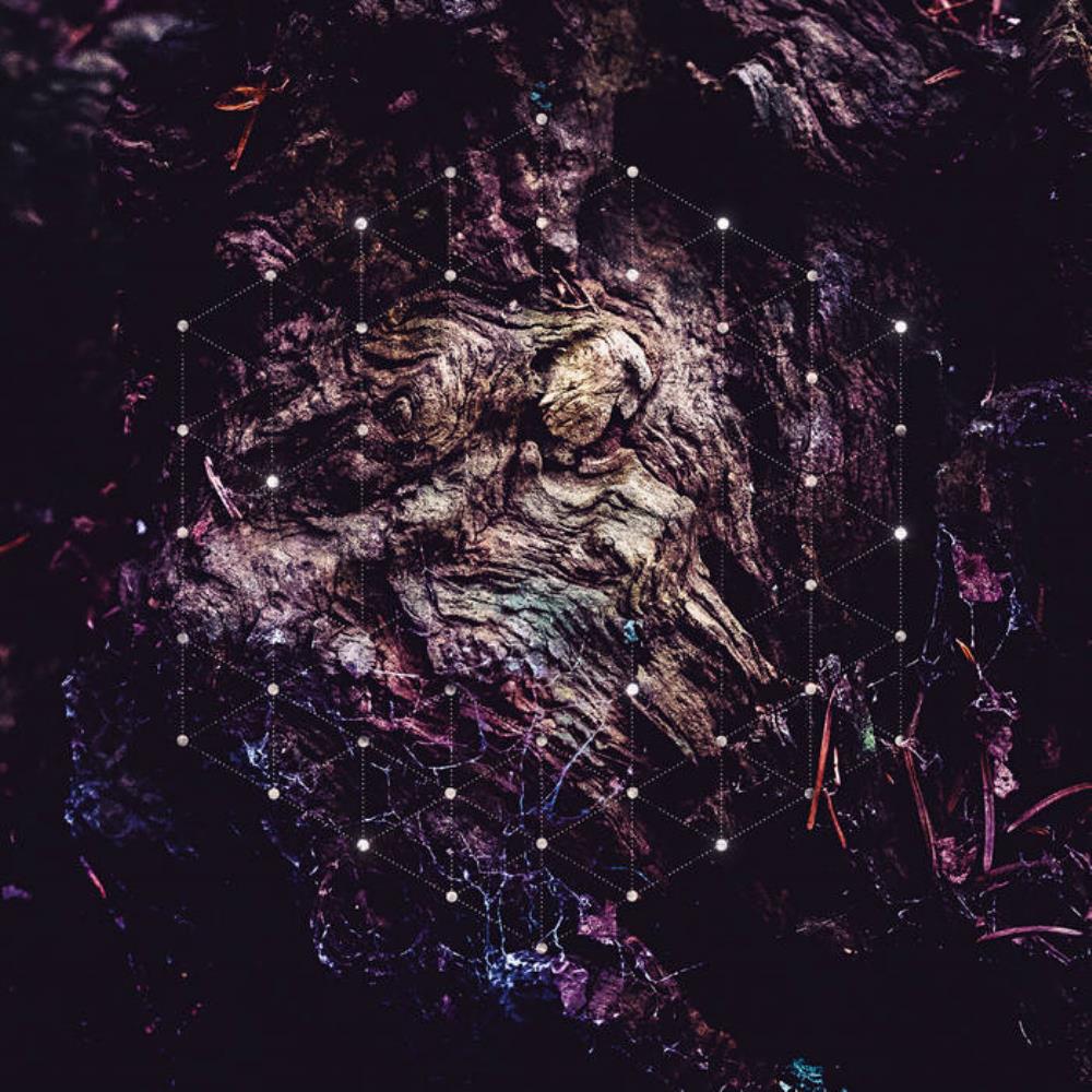 Psychonaut Unfold the God Man album cover
