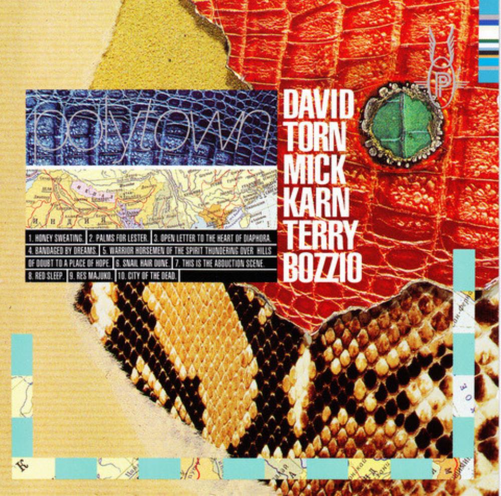 David Torn - David Torn, Mick Karn & Terry Bozzio: Polytown CD (album) cover