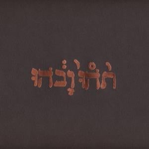 Godspeed You! Black Emperor - Slow Riot For New Zero Kanada E.P. CD (album) cover