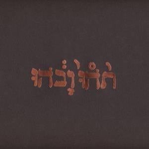 Godspeed You! Black Emperor Slow Riot For New Zero Kanada E.P. album cover