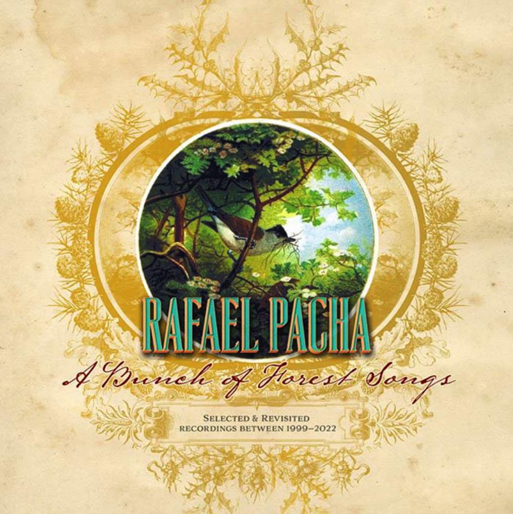 Rafael Pacha A Bunch of Forest Songs - Selected & Revisited Recordings Between 1999-2022 album cover