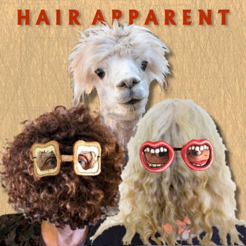 Renaldo & The Loaf Hair Apparent album cover