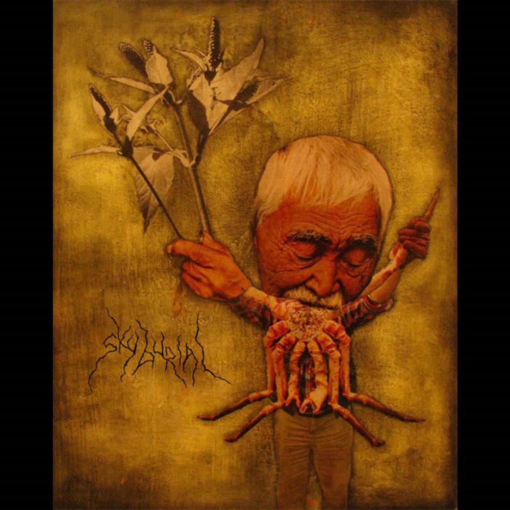Sky Burial Dream Decimator album cover