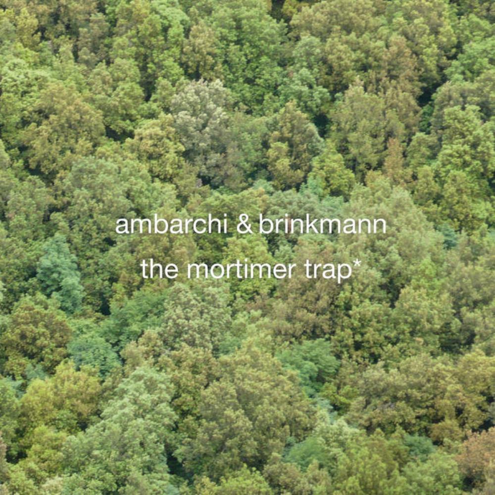 Oren Ambarchi The Mortimer Trap (with Thomas Brinkmann) album cover