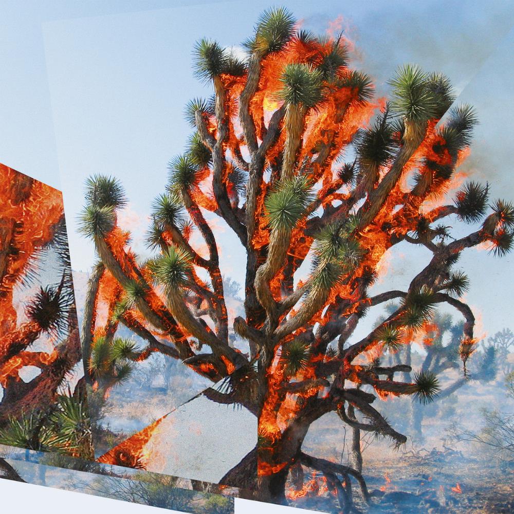 Oren Ambarchi Face Time (with Kassel Jaeger & James Rushford) album cover