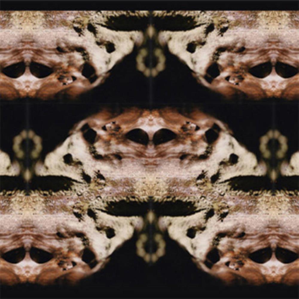 Uton Rustic & Recycled album cover