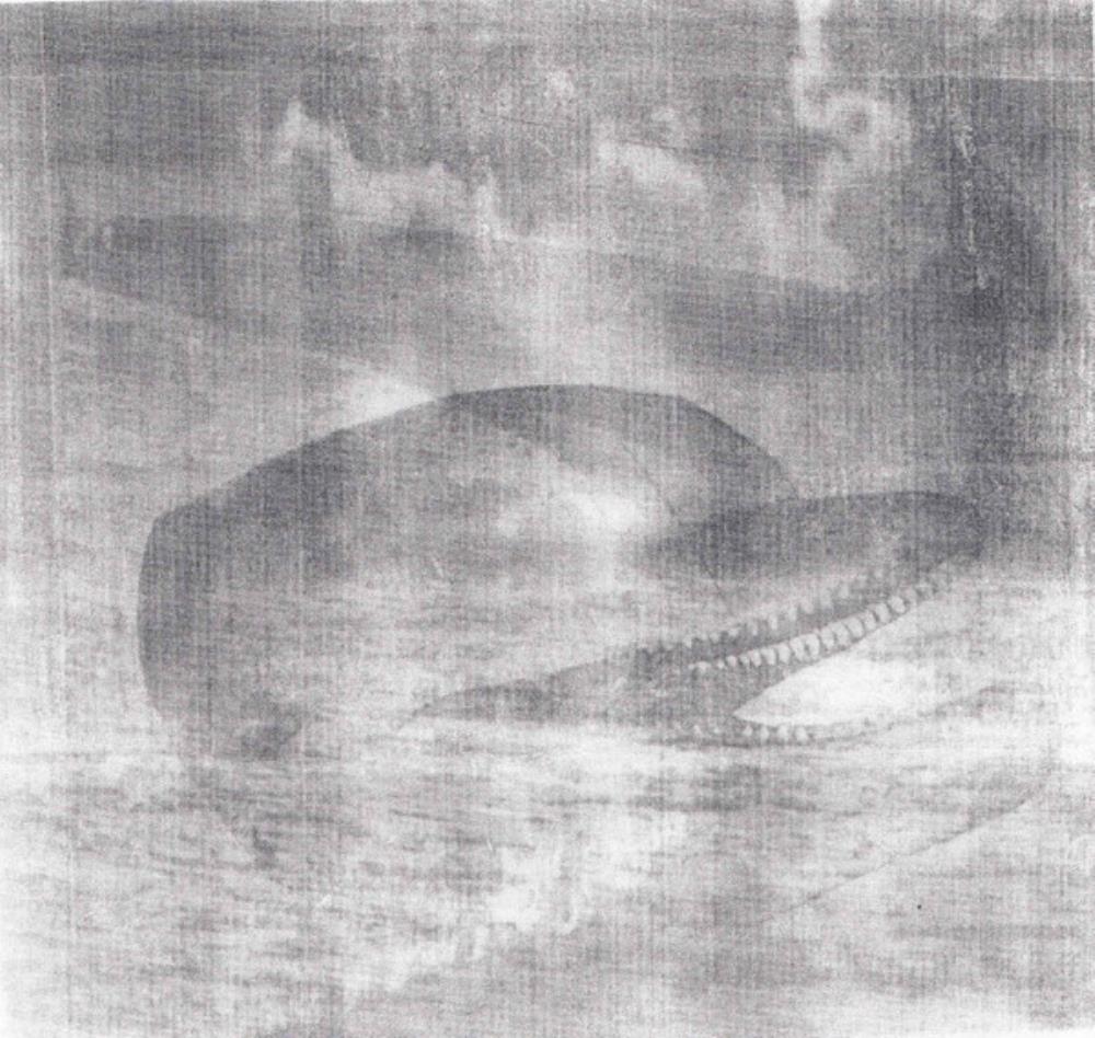 James Ferraro Pan Dolphinic Dawn: Pan Dolphinic Dawn album cover