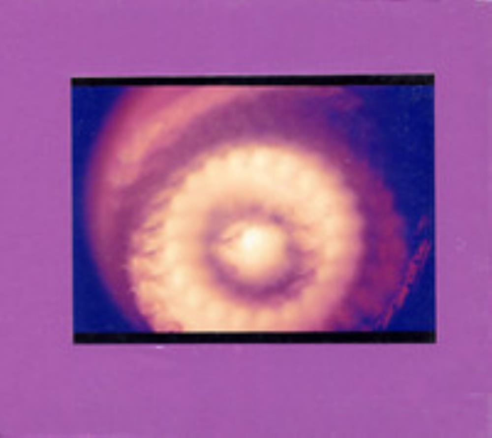 James Ferraro Newage Panther Mistique: Newage Panther Mistique album cover