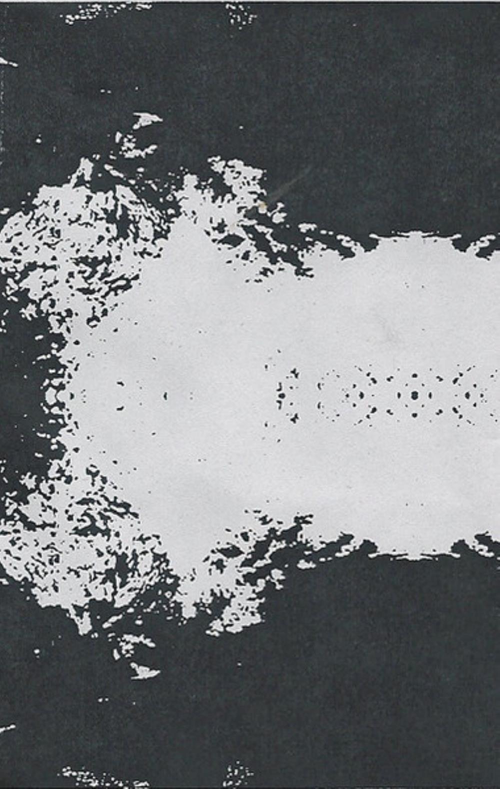 Double Leopards Wolf Eyes & Double Leopards: 2 album cover